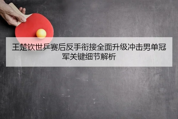王楚钦世乒赛后反手衔接全面升级冲击男单冠军关键细节解析
