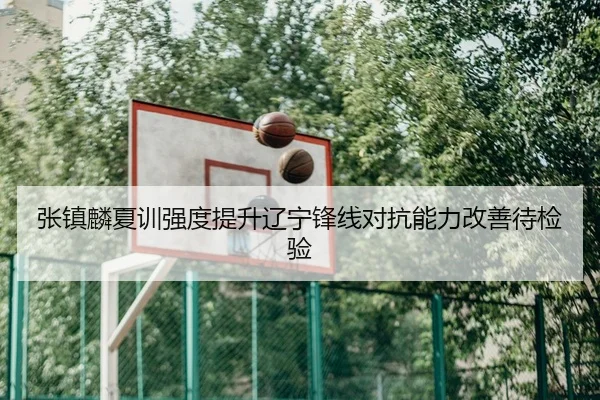 张镇麟夏训强度提升辽宁锋线对抗能力改善待检验